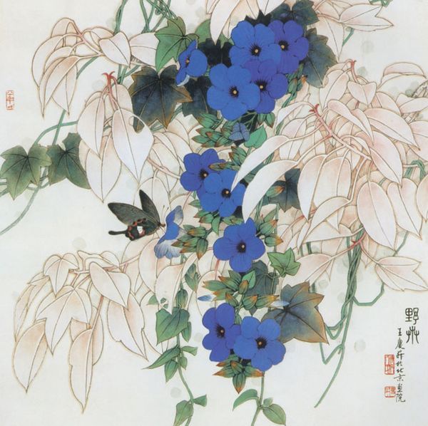 野卉 野卉