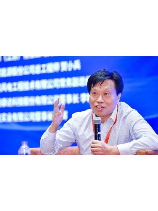 李靖(中廣核新能源副總經理) 李靖(中廣核新能源副總經理)
