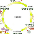 還原當量 還原當量