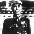 戴安瀾