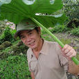黃西田 黃西田