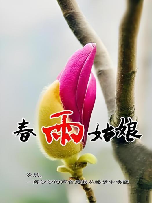 春雨姑娘 春雨姑娘