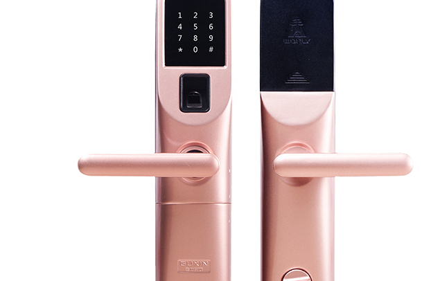王力Z101 王力Z101