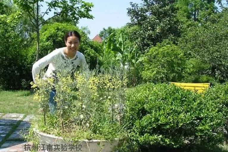 田燕芳 田燕芳