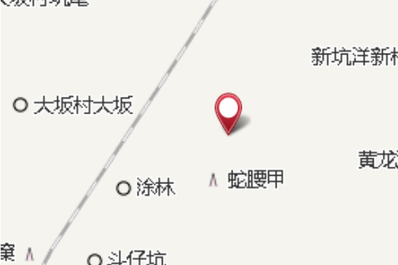 乾竹林 乾竹林