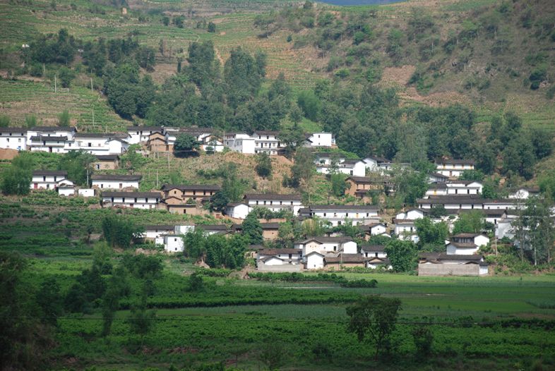 禾石坑村 禾石坑村