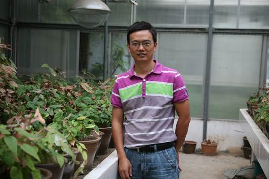 盛茂銀 盛茂銀