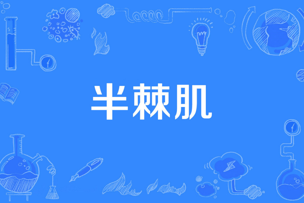 半棘肌 半棘肌