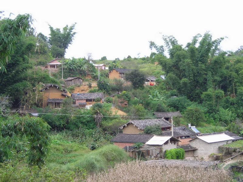 大青樹村(雲南省普洱市思茅區南屏鎮大青樹村) 大青樹村(雲南省普洱市思茅區南屏鎮大青樹村)