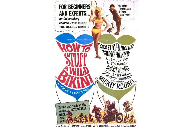 裝滿比基尼(How to Stuff a Wild Bikini) 裝滿比基尼(How to Stuff a Wild Bikini)