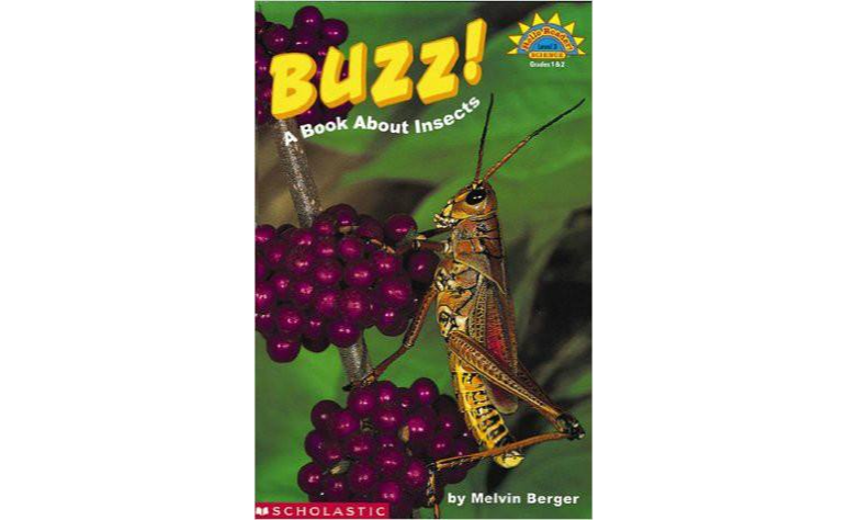 Buzz!: A Book About Insects （精裝）