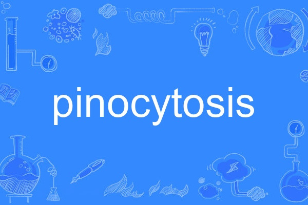 pinocytosis pinocytosis