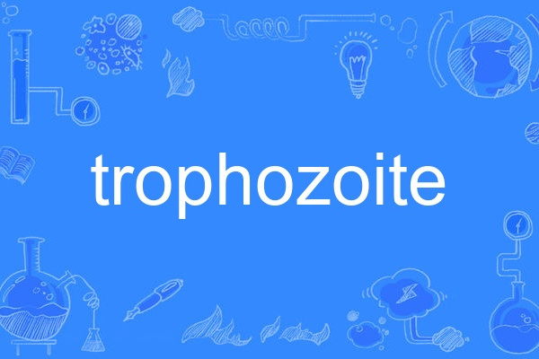 trophozoite trophozoite