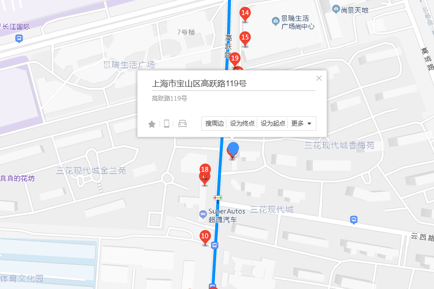 高躍路119號 高躍路119號