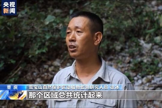 徐冰(雪寶山自然保護區動植物監測研究人員) 徐冰(雪寶山自然保護區動植物監測研究人員)
