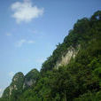 金鵝村(貴州省畢節市織金縣中寨鄉下轄村) 金鵝村(貴州省畢節市織金縣中寨鄉下轄村)