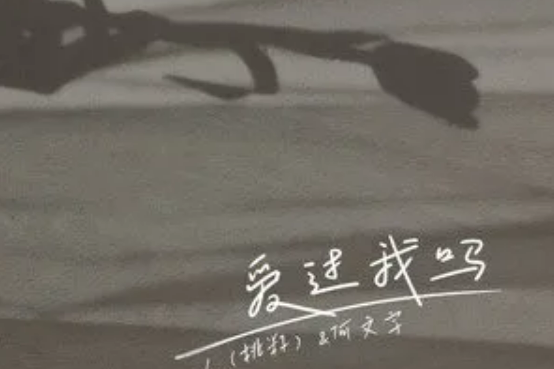 愛過我嗎(L(桃籽) 、何文宇演唱的歌曲) 愛過我嗎(L(桃籽) 、何文宇演唱的歌曲)
