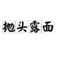 拋頭露面 拋頭露面