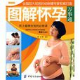 圖解懷孕 圖解懷孕