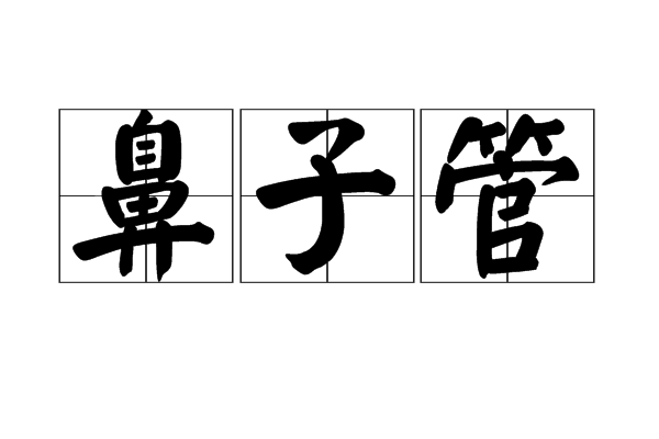 鼻子管 鼻子管