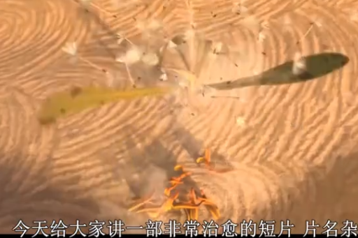 雜草(動畫短片) 雜草(動畫短片)