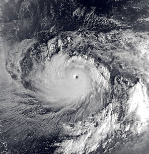 11月20日接近最高強度的颱風蓋伊