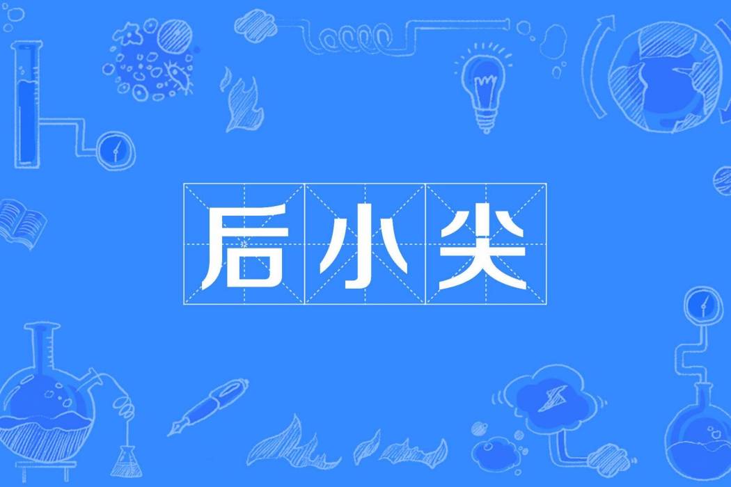 後小尖 後小尖