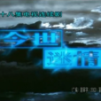 今世迷情 今世迷情