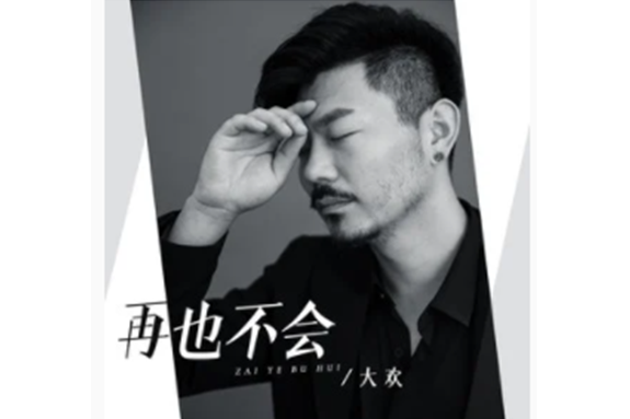 再也不會(大歡演唱的歌曲) 再也不會(大歡演唱的歌曲)