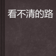 看不清的路 看不清的路