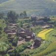 半坡田村(雲南楚雄市大地基鄉下轄村) 半坡田村(雲南楚雄市大地基鄉下轄村)
