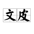 文皮