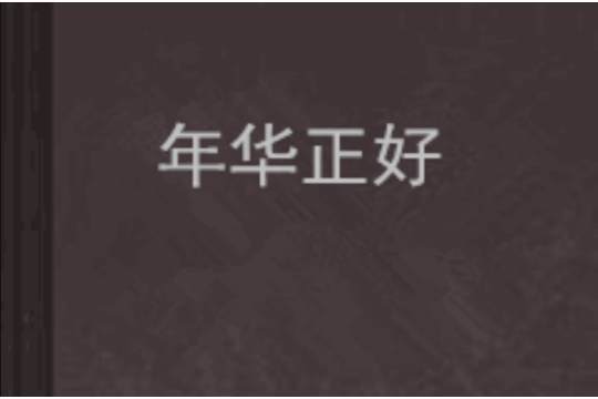 年華正好 年華正好