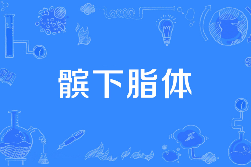髕下脂體
