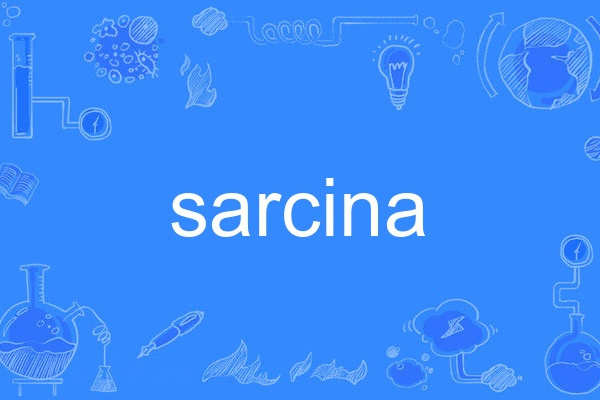 sarcina sarcina