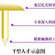 T型人才 T型人才