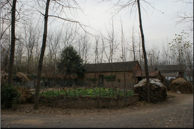 顏莊遺址 顏莊遺址