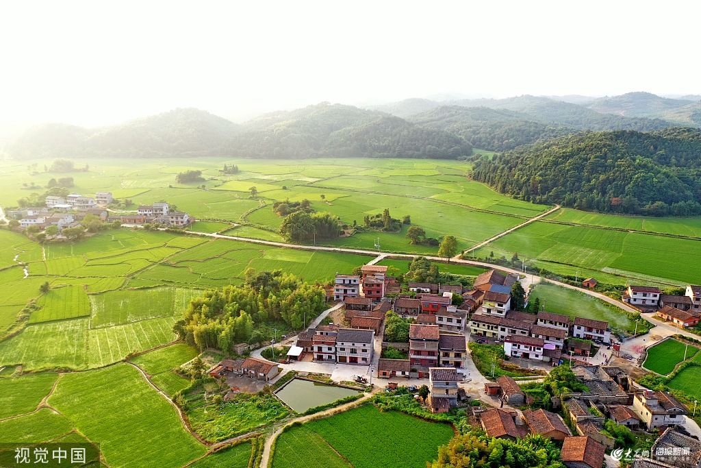 育林坳村 育林坳村