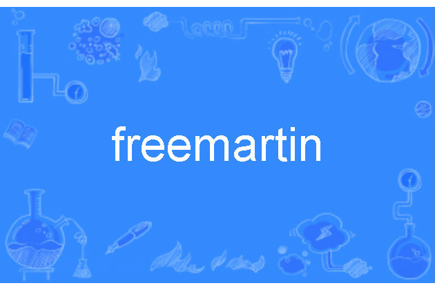freemartin freemartin