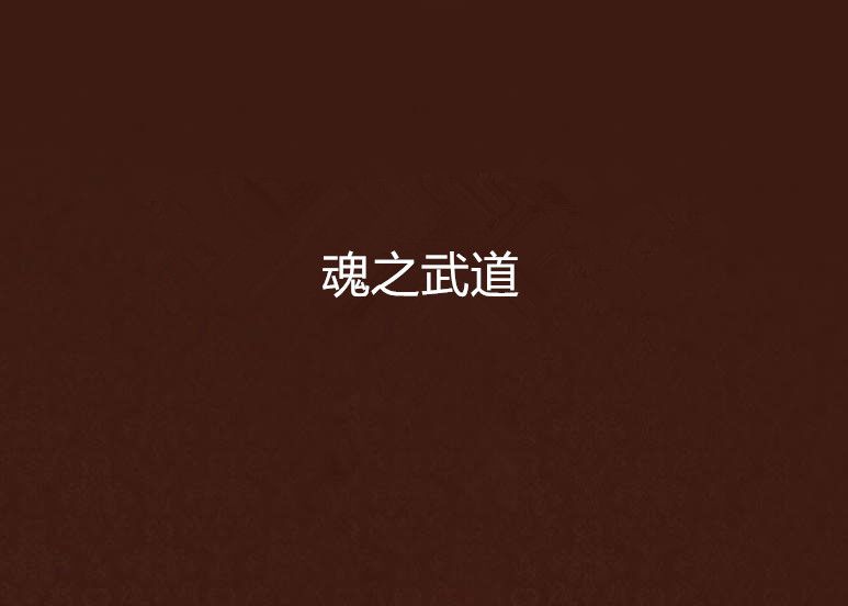 魂之武道 魂之武道