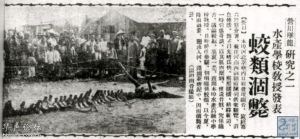 1934年遼寧營口墜龍