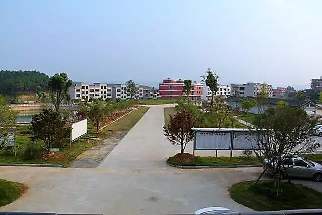 菩提村(湖北省黃岡市蘄春縣蘄州鎮菩堤村) 菩提村(湖北省黃岡市蘄春縣蘄州鎮菩堤村)