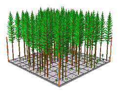 森林模型的建立