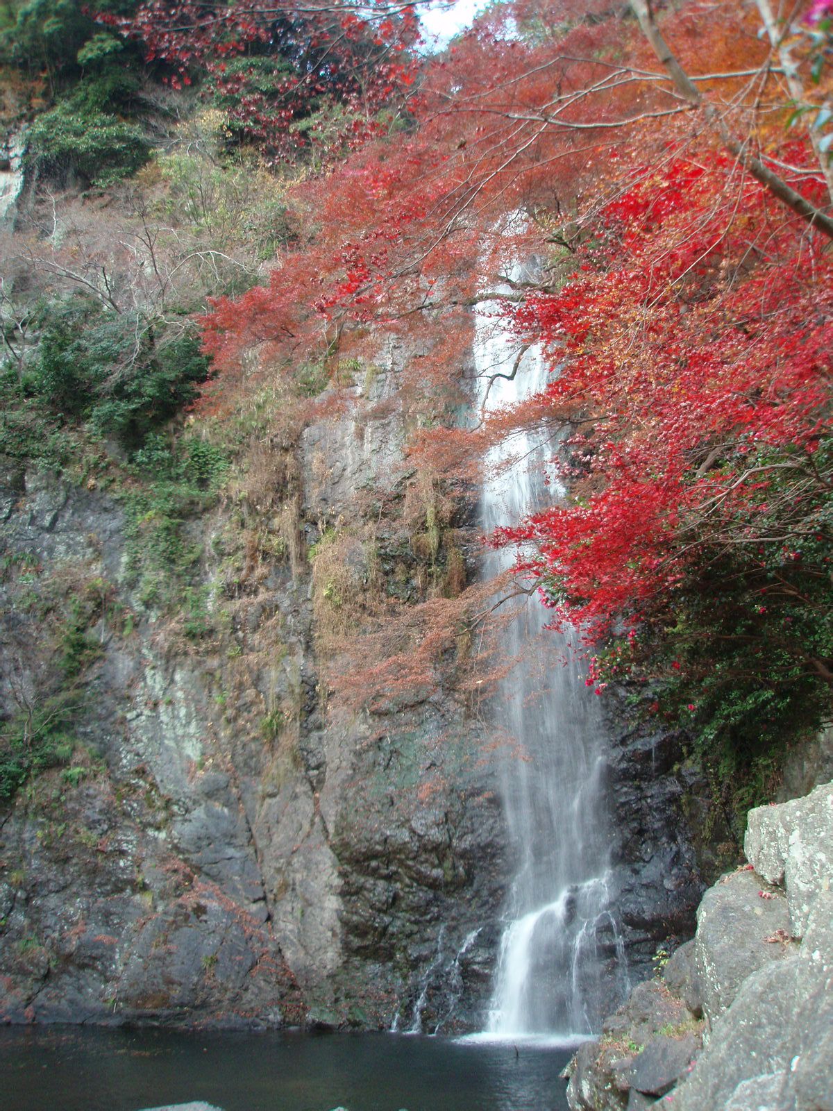 紅葉の箕面滝