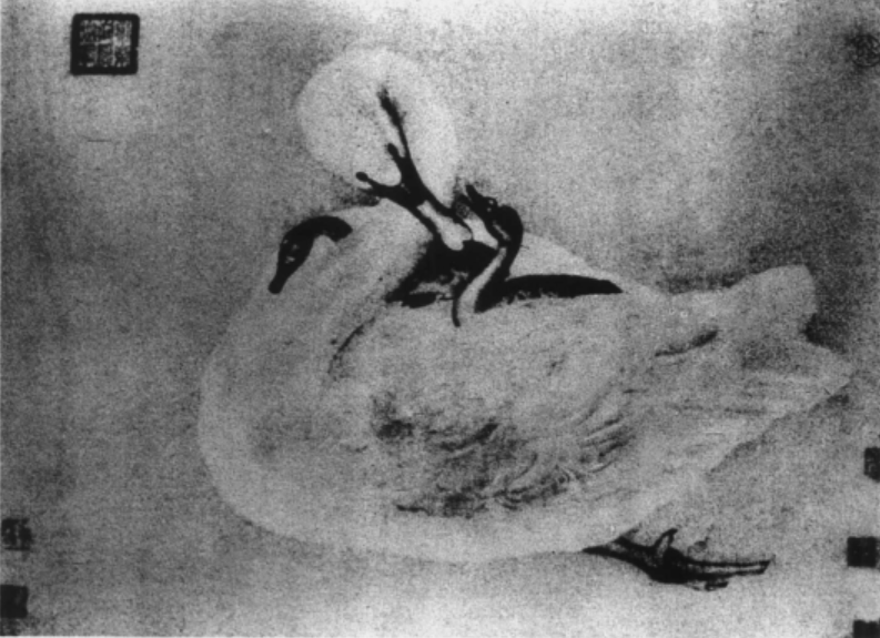 鵝圖 鵝圖