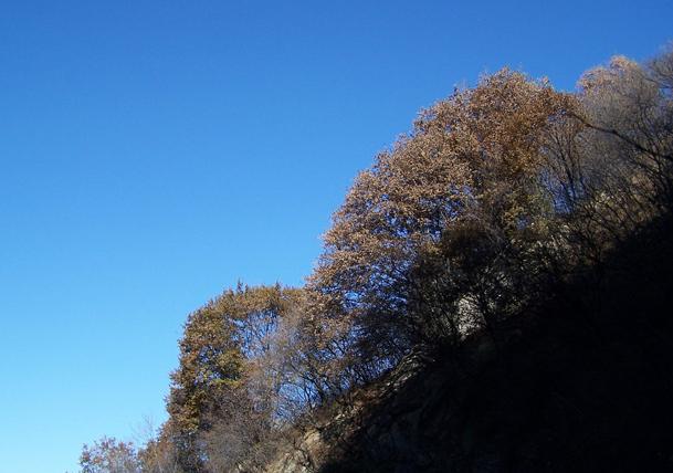 圭峰山國家森林公園