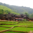 天堂村(江西省定南縣嶺北鎮下轄村) 天堂村(江西省定南縣嶺北鎮下轄村)