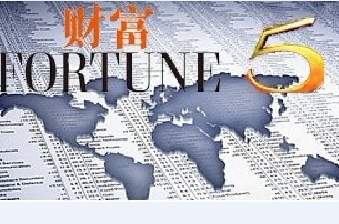 2010年《財富》中國500強排名 (201-300)
