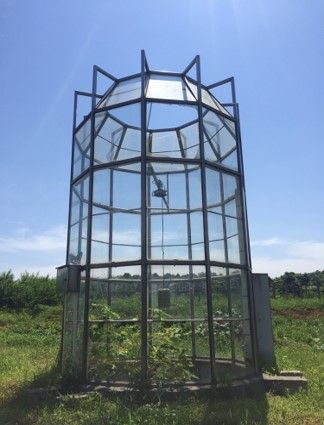 otc(開頂式氣室) otc(開頂式氣室)