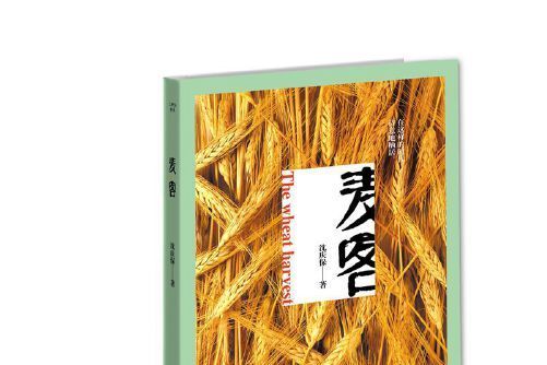 麥客(2017年江蘇鳳凰文藝出版社出版的圖書) 麥客(2017年江蘇鳳凰文藝出版社出版的圖書)